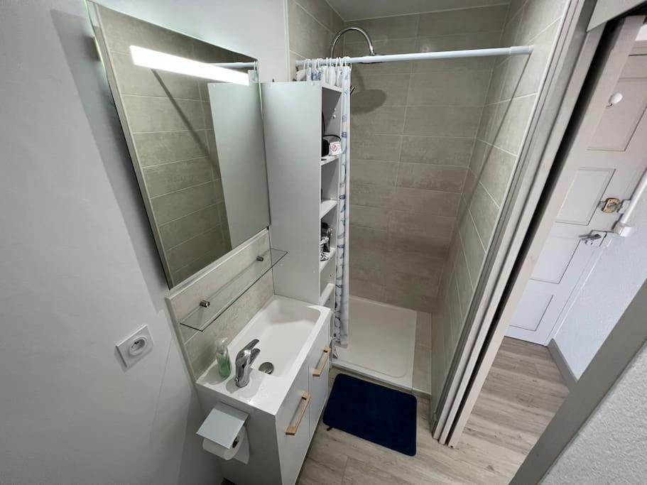 Le Carrousel - Apt Vue Mer - Plage A 10 M - Clim - Wifi Кане-ан-Руссійон Екстер'єр фото