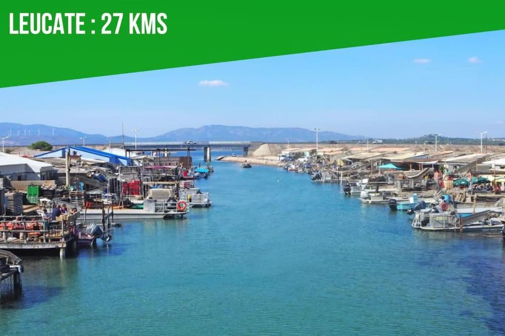 Le Carrousel - Apt Vue Mer - Plage A 10 M - Clim - Wifi Кане-ан-Руссійон Екстер'єр фото