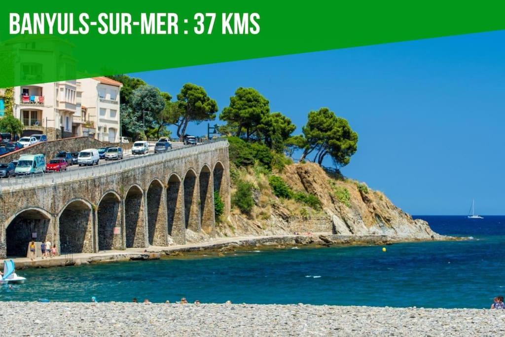 Le Carrousel - Apt Vue Mer - Plage A 10 M - Clim - Wifi Кане-ан-Руссійон Екстер'єр фото