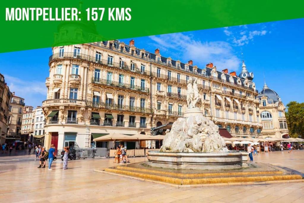 Le Carrousel - Apt Vue Mer - Plage A 10 M - Clim - Wifi Кане-ан-Руссійон Екстер'єр фото